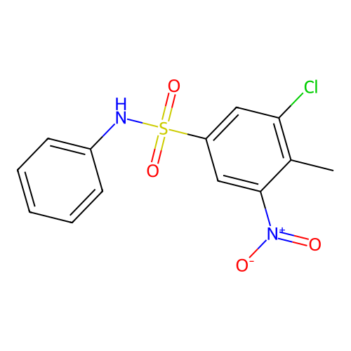 3-chloro-4-methyl-5-nitro-N-phenylbenzenesulfonamide structure