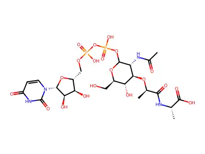 UDP-N-Acetylmuramoyl-L-alanine structure