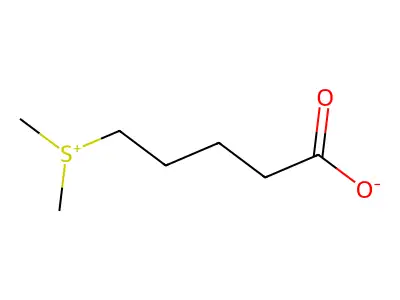 5-Dimethylsulfoniopentanoate structure