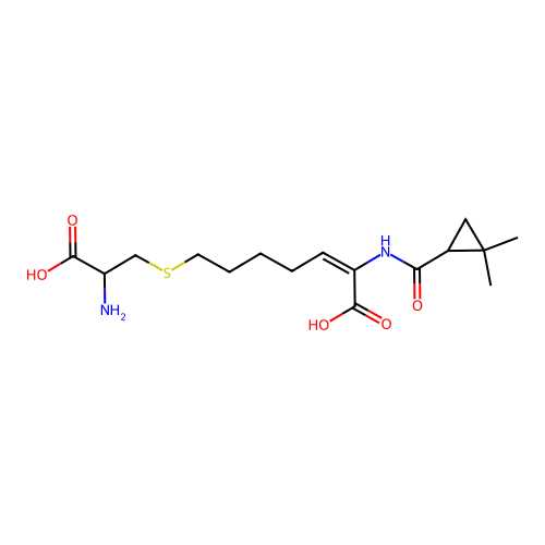 Cilastatin structure