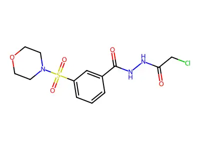 N'-(2-chloroacetyl)-3-(morpholine-4-sulfonyl)benzohydrazide structure
