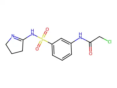 2-chloro-N-{3-[(pyrrolidin-2-ylidene)sulfamoyl]phenyl}acetamide structure