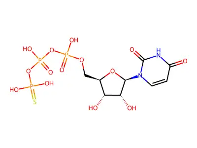 UTPgammaS structure