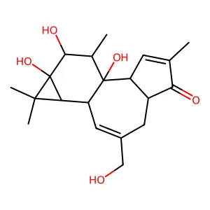 4-Deoxyphorbol structure