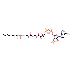 3-hydroxydecanoyl-coenzyme A structure