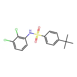 4-tert-butyl-N-(2,3-dichlorophenyl)benzenesulfonamide structure