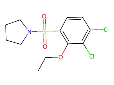 1-(3,4-Dichloro-2-ethoxyphenyl)sulfonylpyrrolidine structure