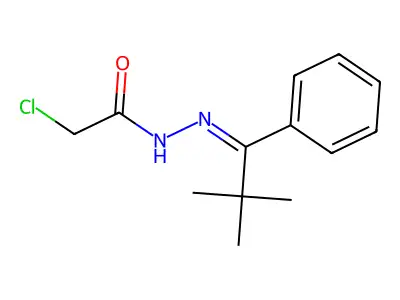 2-chloro-N-[(2,2-dimethyl-1-phenylpropylidene)amino]acetamide structure