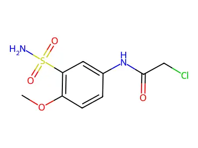 2-chloro-N-(4-methoxy-3-sulfamoylphenyl)acetamide structure