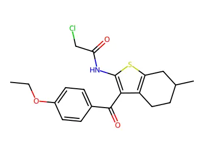 2-chloro-N-[3-(4-ethoxybenzoyl)-6-methyl-4,5,6,7-tetrahydro-1-benzothiophen-2-yl]acetamide structure