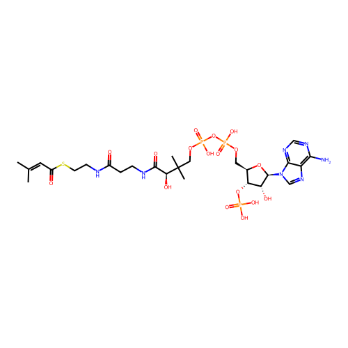 3-Methylcrotonyl-CoA structure