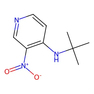 N-tert-butyl-3-nitropyridin-4-amine structure