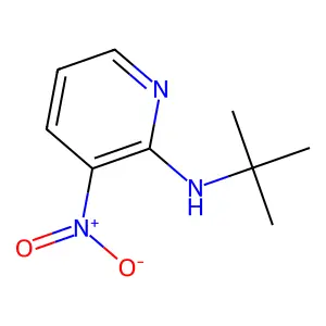 N-tert-butyl-3-nitropyridin-2-amine structure
