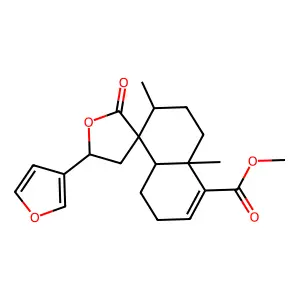 Sonderianin structure