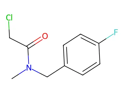 2-chloro-N-[(4-fluorophenyl)methyl]-N-methylacetamide structure