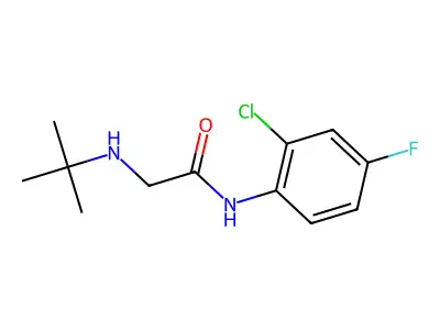 2-(tert-butylamino)-N-(2-chloro-4-fluorophenyl)acetamide structure