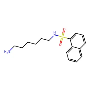 N-(6-氨基己基)萘-1-磺酰胺 structure