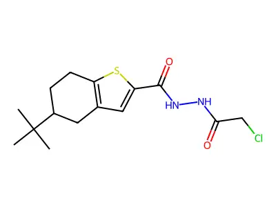 5-tert-butyl-N'-(2-chloroacetyl)-4,5,6,7-tetrahydro-1-benzothiophene-2-carbohydrazide structure