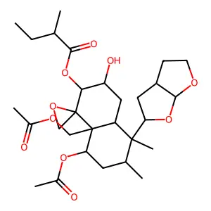 Ivain IV structure