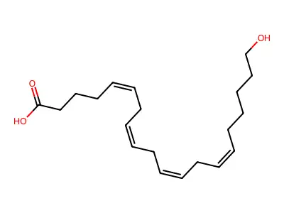 20-羟基二十碳-5,8,11,14-四烯酸 structure