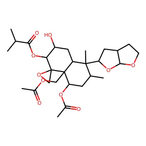Ivain I structure
