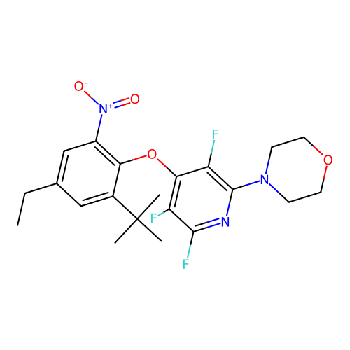 4-[4-(2-tert-butyl-4-ethyl-6-nitrophenoxy)-3,5,6-trifluoropyridin-2-yl]morpholine structure