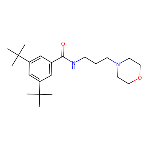 3,5-ditert-butyl-N-(3-morpholin-4-ylpropyl)benzamide structure