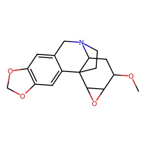 Augustine structure