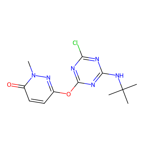 6-{[4-(tert-butylamino)-6-chloro-1,3,5-triazin-2-yl]oxy}-2-methylpyridazin-3(2H)-one structure