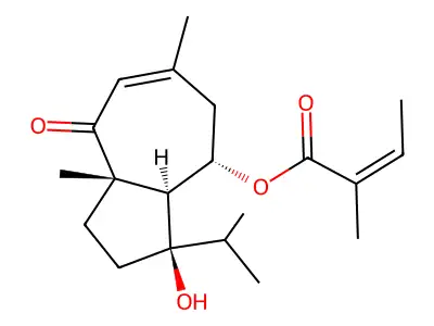 Lapidine structure