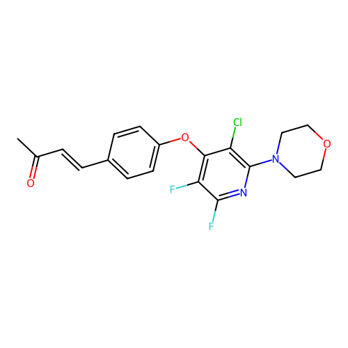 (E)-4-(4-((3-chloro-5,6-difluoro-2-morpholinopyridin-4-yl)oxy)phenyl)but-3-en-2-one structure