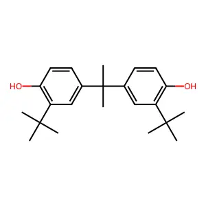 2,2-Bis(4-hydroxy-3-tert-butylphenyl)propane structure
