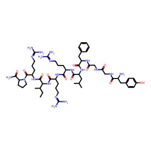 Dynorphin amide (1-10) structure