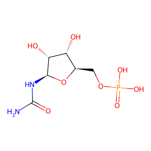 Poly(ribosylurea phosphate) structure