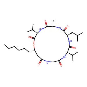 Isariin structure