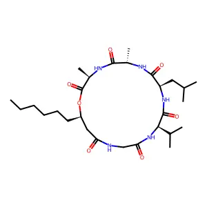 Isariin structure