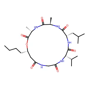 Isariin structure