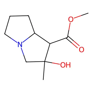 Tussilagine structure