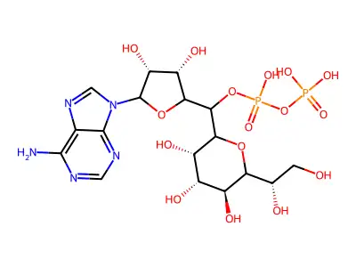 Adpgmh structure