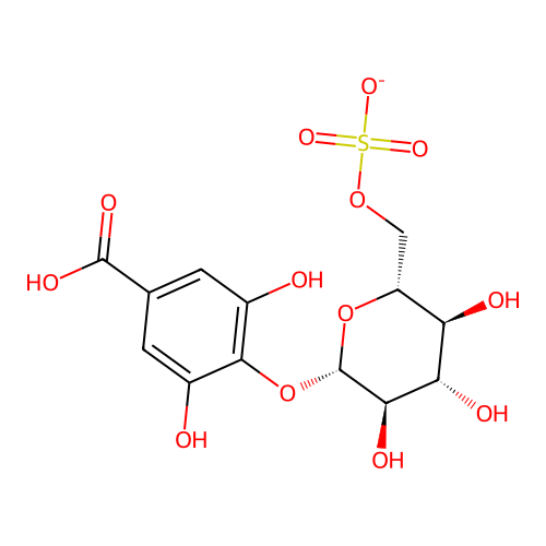 Turgorin structure