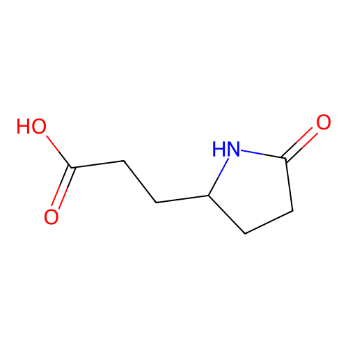 3-(5-Oxopyrrolidin-2-yl)propanoic acid structure