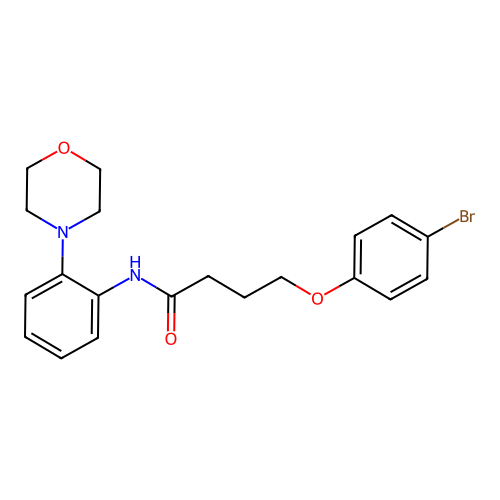 4-(4-Bromophenoxy)-N-(2-morpholinophenyl)butanamide structure