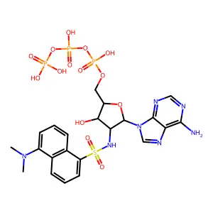 dansylamino deoxy-ATP structure