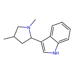 3-(1,4-dimethylpyrrolidin-2-yl)-1H-indole structure