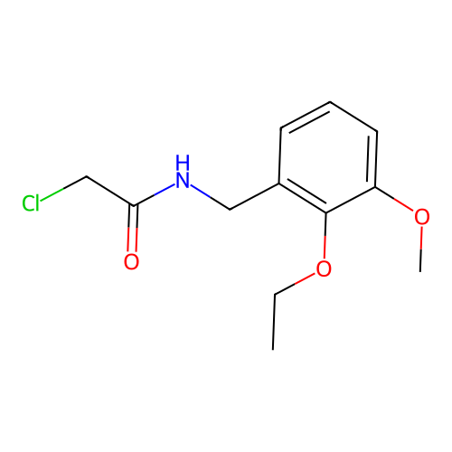 Acetamide, 2-chloro-N-((2-ethoxy-3-methoxyphenyl)methyl)- structure
