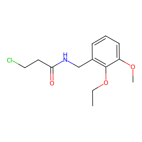 Propanamide, 3-chloro-N-((2-ethoxy-3-methoxyphenyl)methyl)- structure