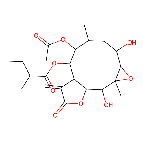 VICOA INDICA, VI P00 structure