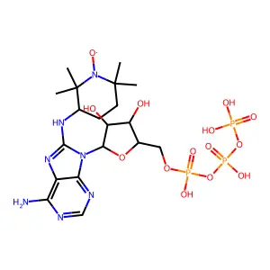 8-(2,2,6,6-Tetramethylpiperidin-4-yl-1-oxyl)amino-adenosine triphosphate structure