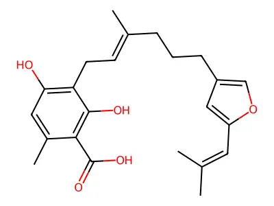 Phosan-plus structure