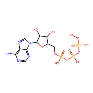 Adenylyl 5'-peroxydiphosphate structure